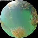 ./images/calvert/underwater/20260827/underwater20260827_185501M.jpg
