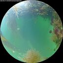 ./images/calvert/underwater/20260827/underwater20260827_190501M.jpg