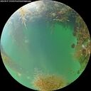 ./images/calvert/underwater/20260827/underwater20260827_191001M.jpg