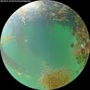 ./images/calvert/underwater/20260827/underwater20260827_191502M.jpg