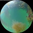./images/calvert/underwater/20260827/underwater20260827_192002M.jpg