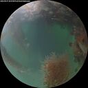 ./images/calvert/underwater/20260827/underwater20260827_203501M.jpg
