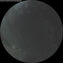 ./images/calvert/underwater/20260828/underwater20260828_060501M.jpg