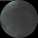 ./images/calvert/underwater/20260828/underwater20260828_061001M.jpg