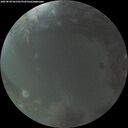 ./images/calvert/underwater/20260828/underwater20260828_061501M.jpg