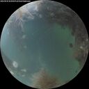 ./images/calvert/underwater/20260828/underwater20260828_063001M.jpg