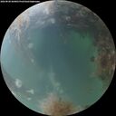 ./images/calvert/underwater/20260828/underwater20260828_064001M.jpg