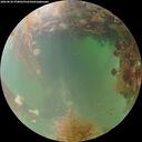 ./images/calvert/underwater/20260828/underwater20260828_070001M.jpg