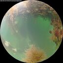 ./images/calvert/underwater/20260828/underwater20260828_070501M.jpg