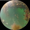 ./images/calvert/underwater/20260828/underwater20260828_071002M.jpg