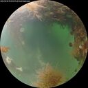 ./images/calvert/underwater/20260828/underwater20260828_072501M.jpg