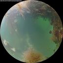 ./images/calvert/underwater/20260828/underwater20260828_073501M.jpg
