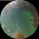 ./images/calvert/underwater/20260828/underwater20260828_074001M.jpg