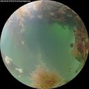 ./images/calvert/underwater/20260828/underwater20260828_074501M.jpg