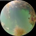 ./images/calvert/underwater/20260828/underwater20260828_075501M.jpg