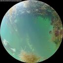 ./images/calvert/underwater/20260828/underwater20260828_080501M.jpg