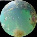 ./images/calvert/underwater/20260828/underwater20260828_081001M.jpg