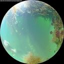 ./images/calvert/underwater/20260828/underwater20260828_082002M.jpg