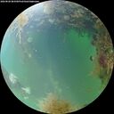 ./images/calvert/underwater/20260828/underwater20260828_083501M.jpg