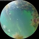 ./images/calvert/underwater/20260828/underwater20260828_084002M.jpg