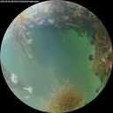 ./images/calvert/underwater/20260828/underwater20260828_085001M.jpg