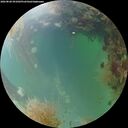 ./images/calvert/underwater/20260828/underwater20260828_091001M.jpg