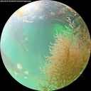 ./images/calvert/underwater/20260828/underwater20260828_094001M.jpg