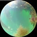 ./images/calvert/underwater/20260828/underwater20260828_095501M.jpg