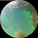 ./images/calvert/underwater/20260828/underwater20260828_101002M.jpg