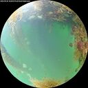 ./images/calvert/underwater/20260828/underwater20260828_102001M.jpg