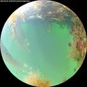 ./images/calvert/underwater/20260828/underwater20260828_103001M.jpg