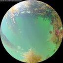 ./images/calvert/underwater/20260828/underwater20260828_103501M.jpg