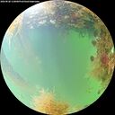 ./images/calvert/underwater/20260828/underwater20260828_110001M.jpg
