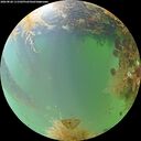 ./images/calvert/underwater/20260828/underwater20260828_111501M.jpg