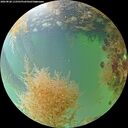 ./images/calvert/underwater/20260828/underwater20260828_112501M.jpg