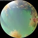 ./images/calvert/underwater/20260828/underwater20260828_113501M.jpg