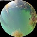 ./images/calvert/underwater/20260828/underwater20260828_114002M.jpg