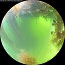 ./images/calvert/underwater/20260828/underwater20260828_115001M.jpg