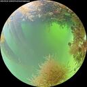 ./images/calvert/underwater/20260828/underwater20260828_120001M.jpg