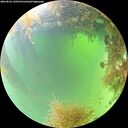 ./images/calvert/underwater/20260828/underwater20260828_120501M.jpg