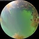 ./images/calvert/underwater/20260828/underwater20260828_121002M.jpg