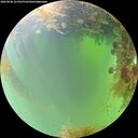 ./images/calvert/underwater/20260828/underwater20260828_121501M.jpg