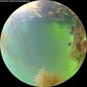 ./images/calvert/underwater/20260828/underwater20260828_122001M.jpg