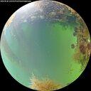 ./images/calvert/underwater/20260828/underwater20260828_122501M.jpg