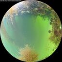 ./images/calvert/underwater/20260828/underwater20260828_124001M.jpg