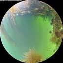 ./images/calvert/underwater/20260828/underwater20260828_124501M.jpg