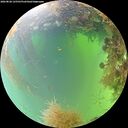 ./images/calvert/underwater/20260828/underwater20260828_125501M.jpg