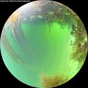 ./images/calvert/underwater/20260828/underwater20260828_130001M.jpg