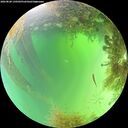 ./images/calvert/underwater/20260828/underwater20260828_130501M.jpg