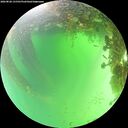 ./images/calvert/underwater/20260828/underwater20260828_131501M.jpg